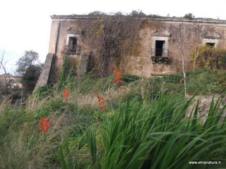 Palazzo Riggio Carcaci